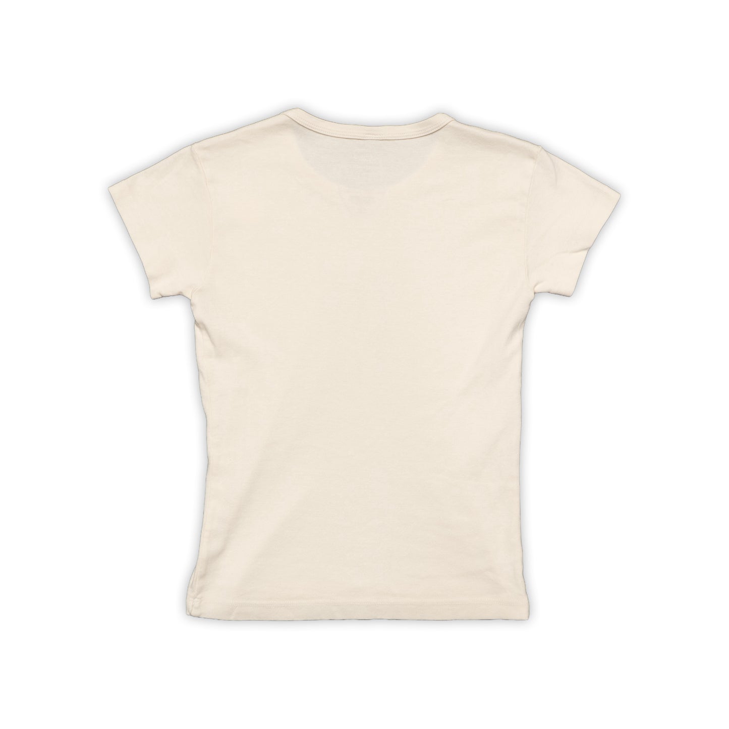 Picked x artxnikki FSU Cheerleader Women's Shirt
