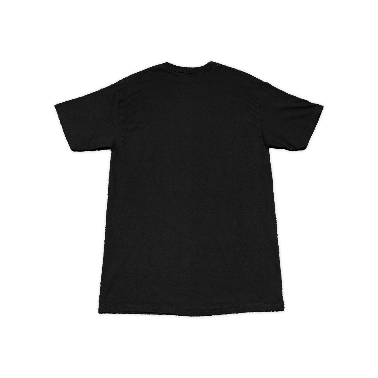 Black Florida State Hanes Tee
