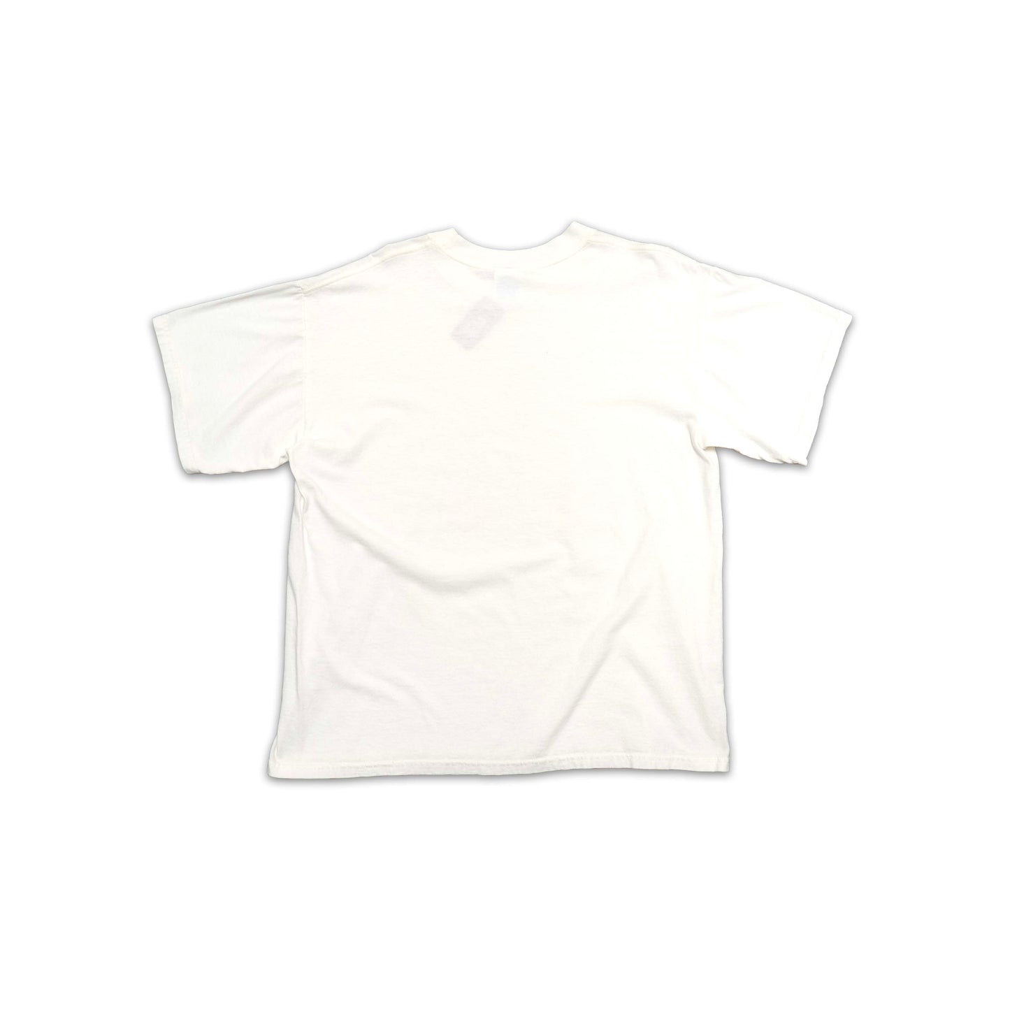 FAMU Alumni Gildan Shirt