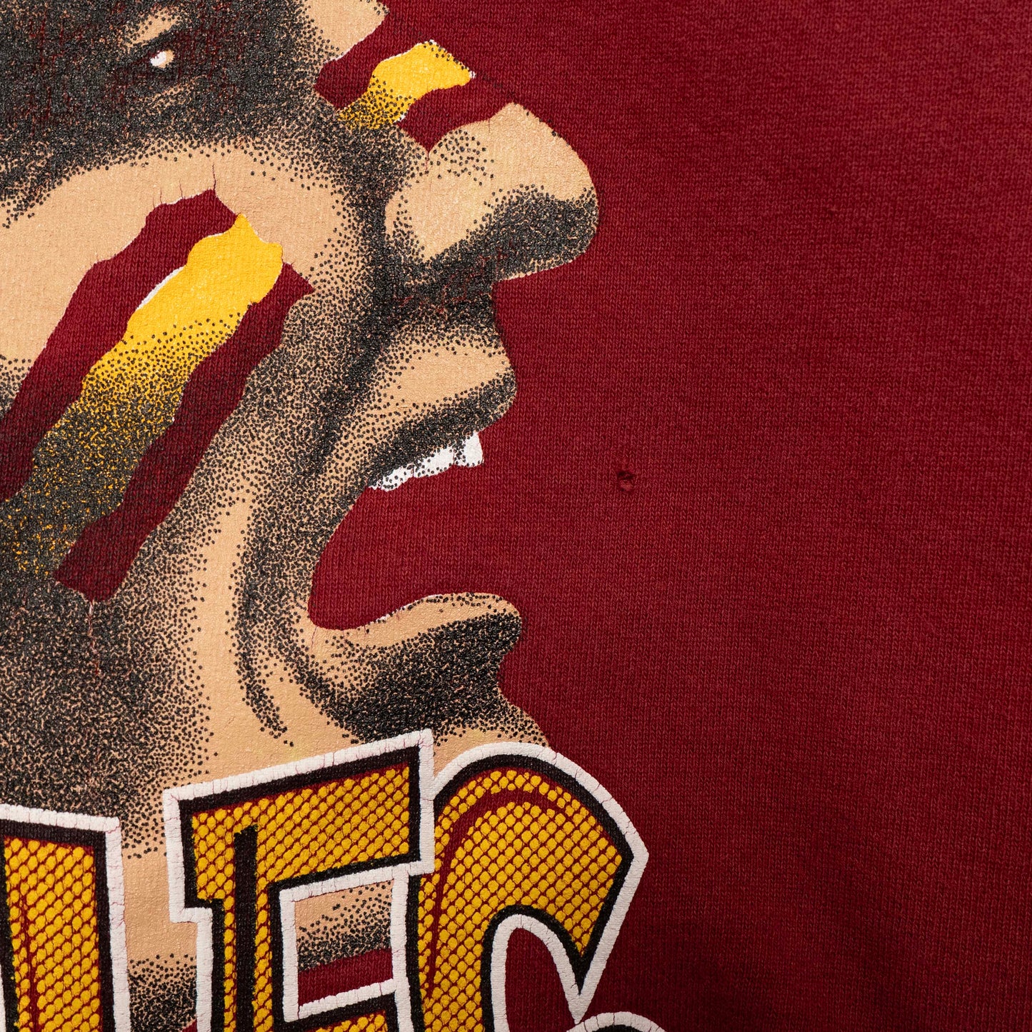 FSU Team Editions Sweatshirt