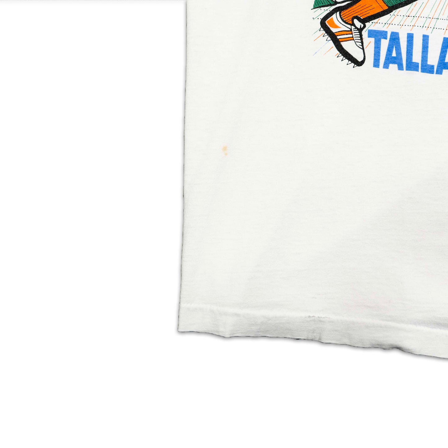 FAMU Homecoming Shirt