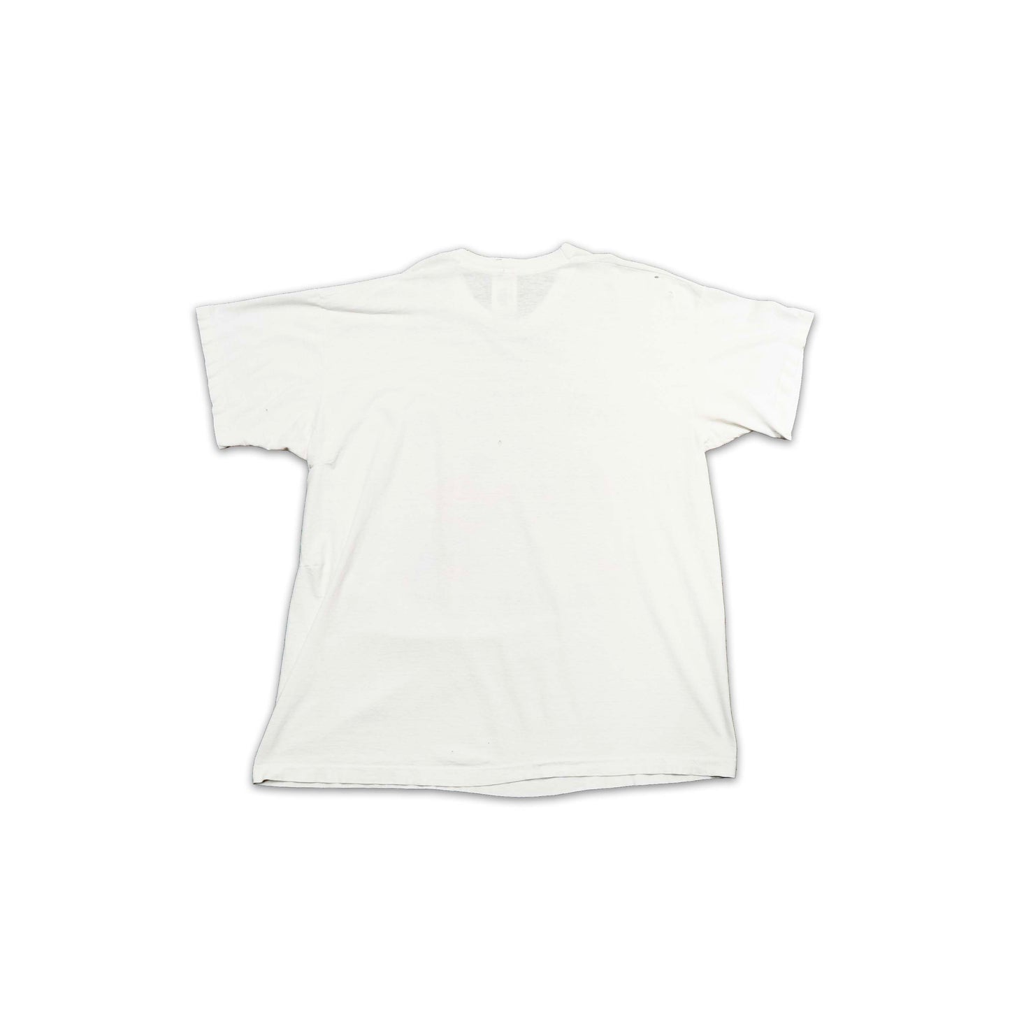 FAMU Homecoming Shirt