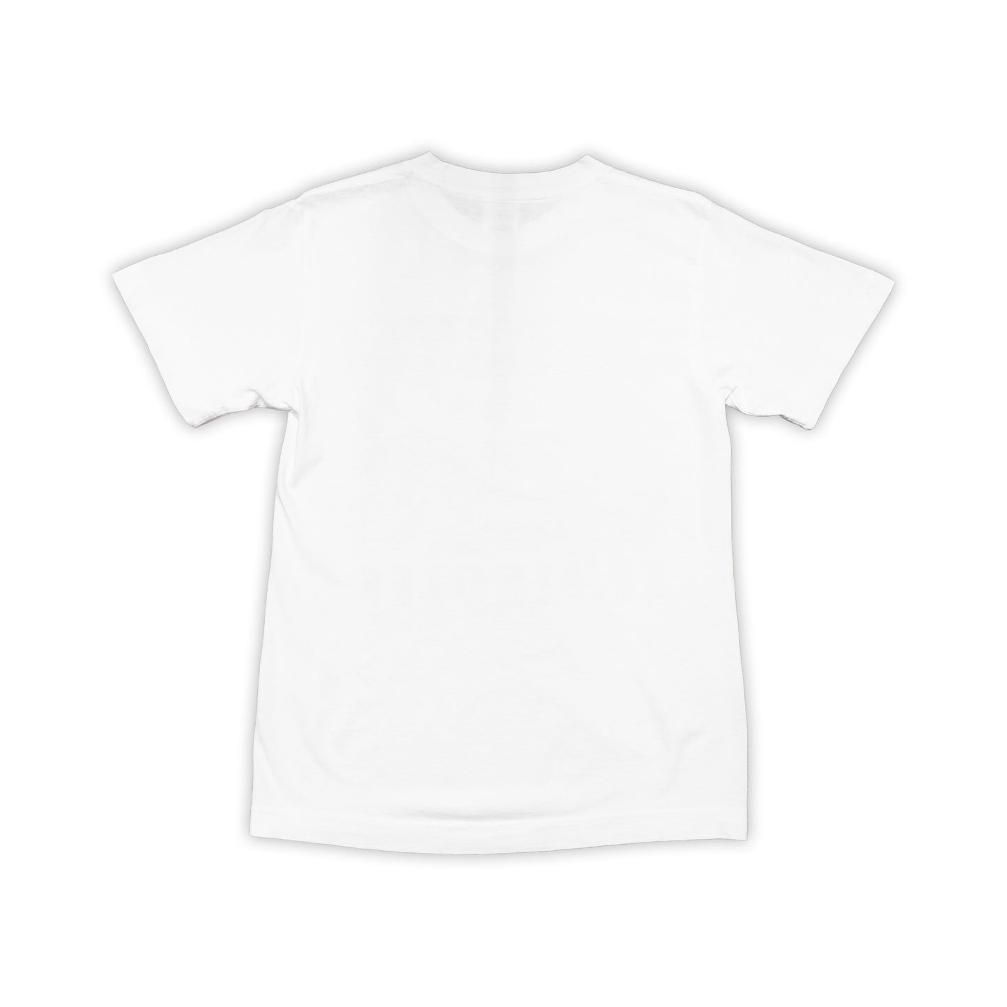 THE FSU Helmet Shirt